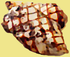 Description: X:\DM\WEBHOST\temp\siteworking\images\grilledchicken.png
