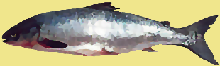 Description: X:\DM\WEBHOST\temp\siteworking\images\salmon.png
