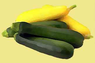 Description: X:\DM\WEBHOST\temp\siteworking\images\zucchini.png